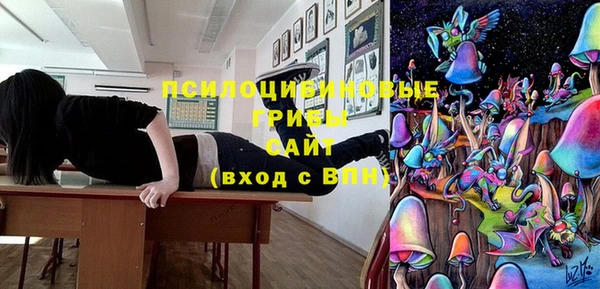 ешки Алексин