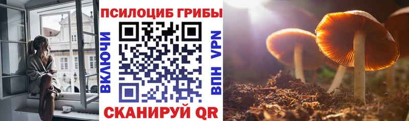 Галлюциногенные грибы мухоморы  darknet какой сайт  Чёрмоз 